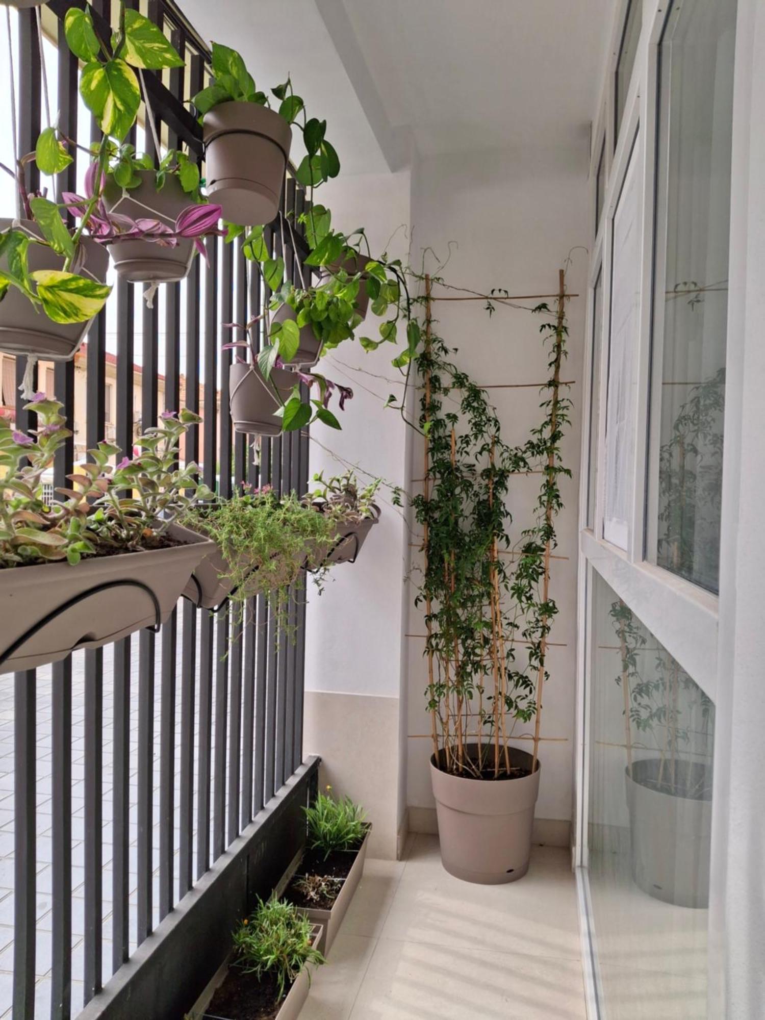 Bonito Apartamento De 2 Habitaciones Cerca De La Estacion Joaquin Sorolla Valencia Exteriör bild